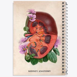 دفتر آناتومی کلیه (kidney Anatomy)