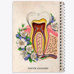دفتر آناتومی دندان (Tooth Anatomy)