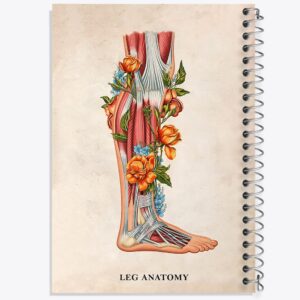 دفتر آناتومی پا (Foot Anatomy