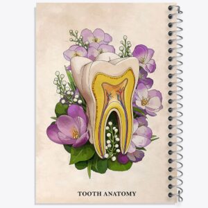 دفتر آناتومی دندان (Tooth Anatomy)