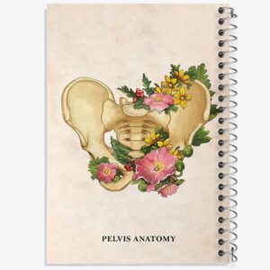 دفتر آناتومی لگن (Pelvis Anatomy)