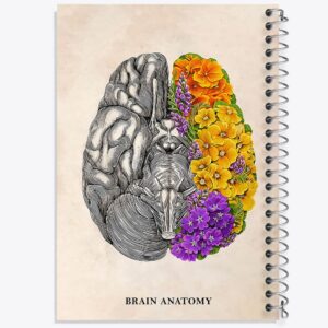 دفتر آناتومی مغز (Brain Anatomy)