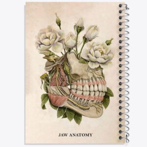 دفتر آناتومی فک (Jaw Anatomy)