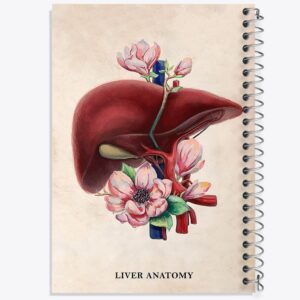 دفتر آناتومی کبد (Liver anatomy)