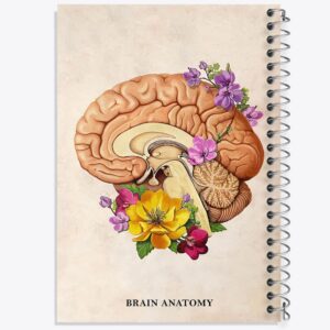 دفتر آناتومی مغز (Brain Anatomy)