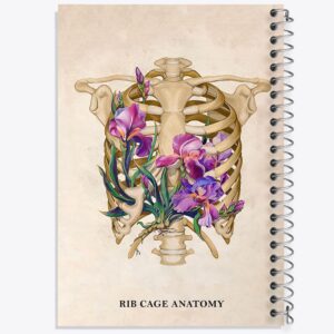 دفتر آناتومی قفسه سینه (Rib Cage Anatomy)