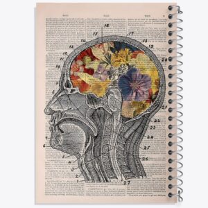 دفتر آناتومی مغز (Brain Anatomy)