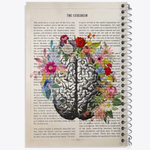 دفتر مغز (Brain)