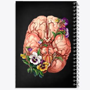 دفتر آناتومی مغز (Brain Anatomy)