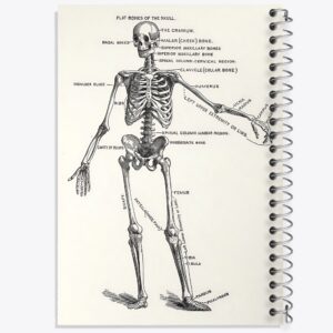 دفتر آناتومی انسان (Human Anatomy)