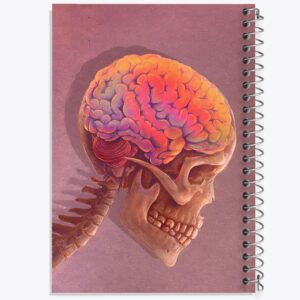 دفتر آناتومی مغز (Brain Anatomy)
