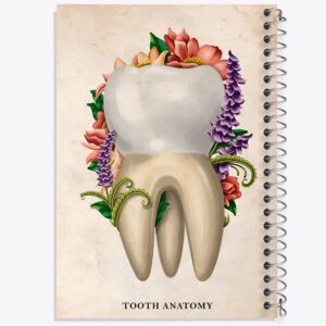 دفتر آناتومی دندان (Tooth Anatomy)