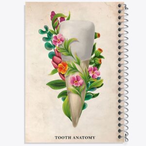 دفتر آناتومی دندان (Tooth Anatomy)