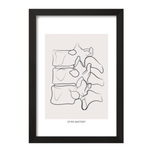 تابلو آناتومی ستون فقرات (Spine Anatomy)