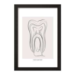 تابلو آناتومی دندان (Tooth Anatomy)