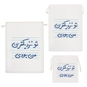 کیسه نظم دهنده تو نزدیکترین من بودی