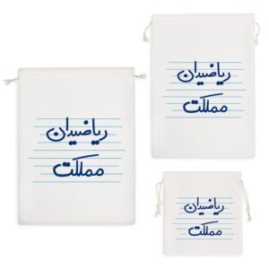 کیسه نظم دهنده ریاضیدان مملکت