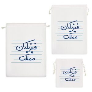 کیسه نظم دهنده فیزیکدان مملکت