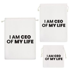 کیسه نظم دهنده I Am Ceo Of My Life