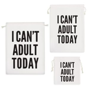 کیسه نظم دهنده I Can't Adult Today