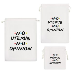 کیسه نظم دهنده No Uterus No Opinion