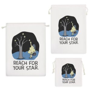 کیسه نظم دهنده Reach For Your Star