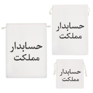 کیسه نظم دهنده حسابدار مملکت
