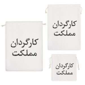 کیسه نظم دهنده کارگردان مملکت
