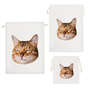 کیسه نظم دهنده گربه (Cat)
