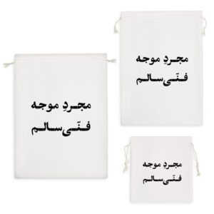 کیسه نظم دهنده مجرد موجه فنی سالم