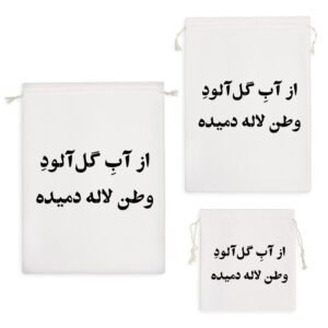 کیسه نظم دهنده