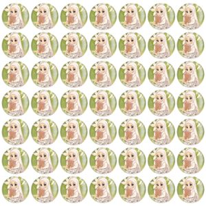 پیکسل جشن قرآن