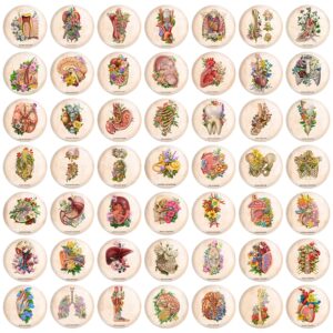 مگنت آناتومی اعضای بدن انسان