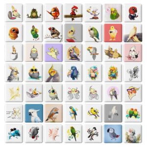 مگنت مربعی پرندگان زینتی